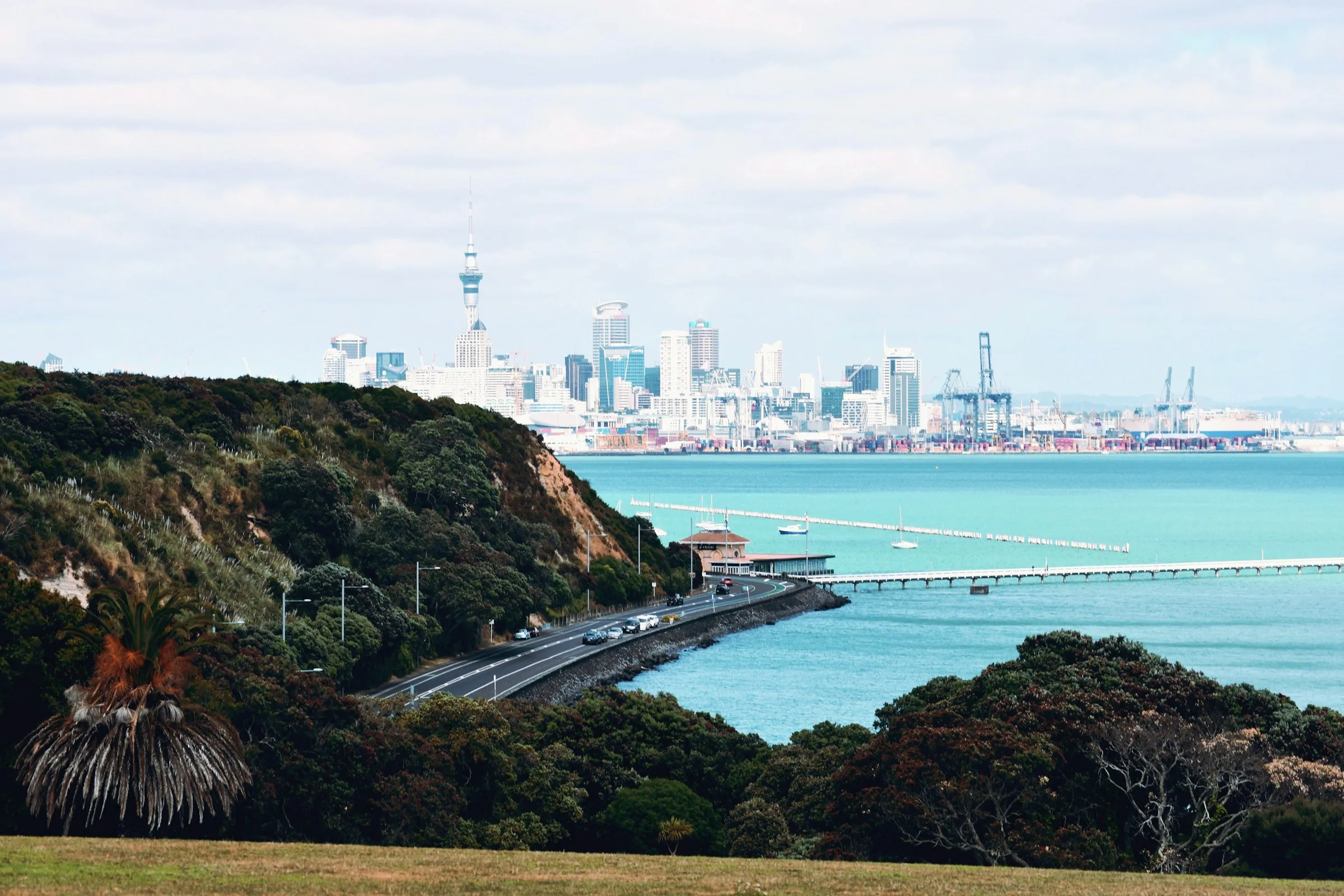 Auckland city seen from a coastal clifftop across blue water