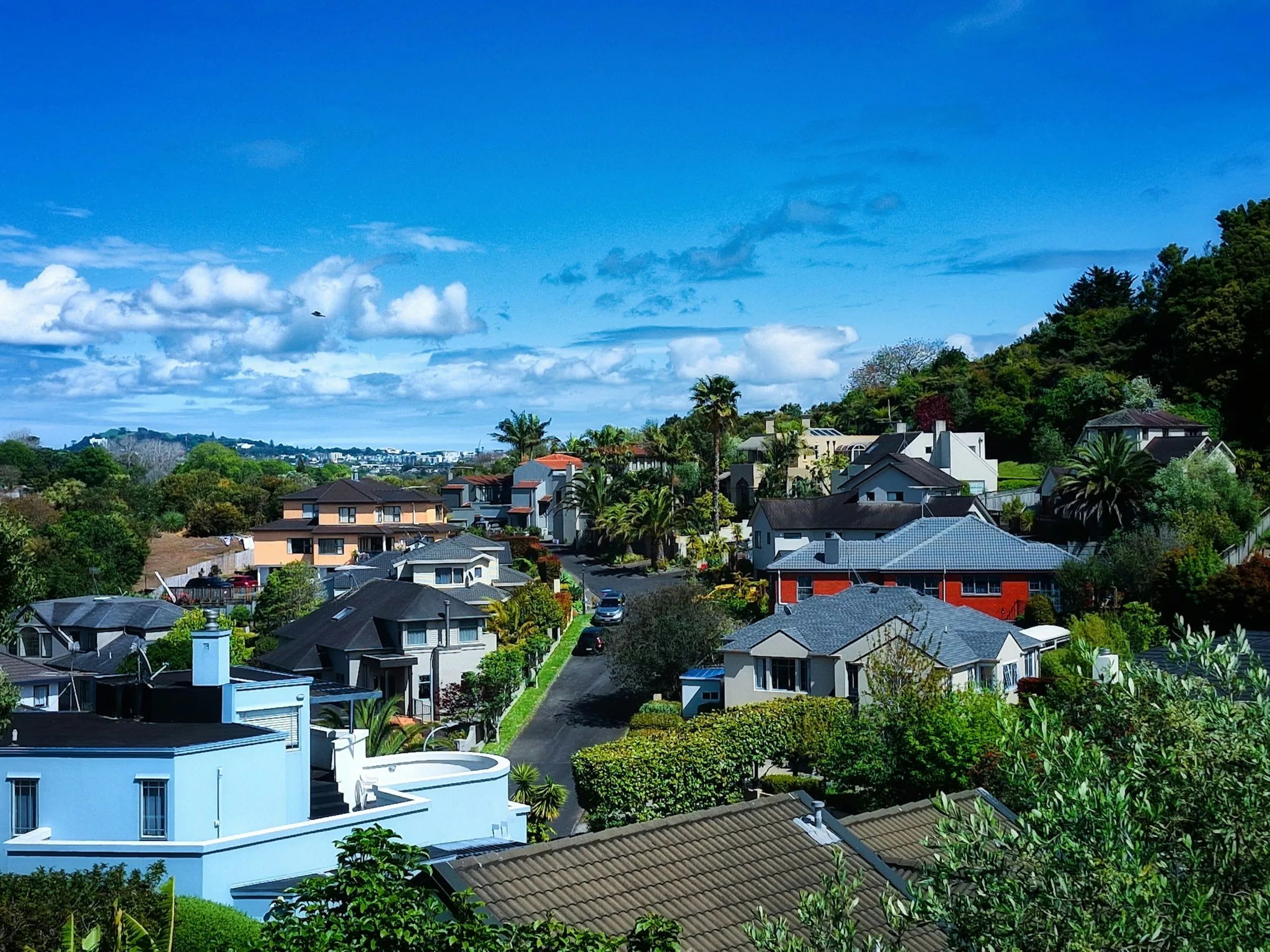 Auckland suburban homes on a hillside under a blue sky