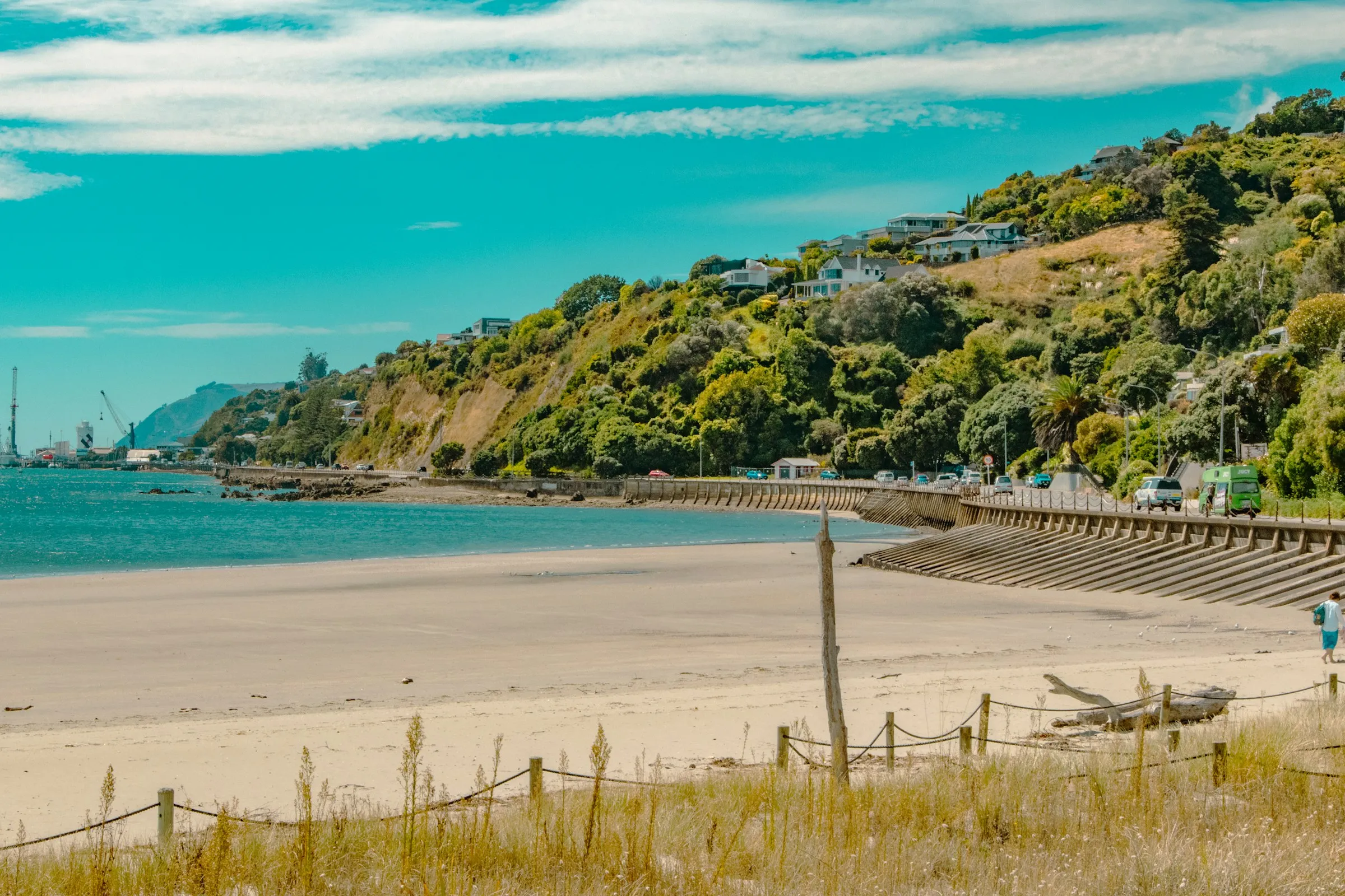 A beach in the Nelson region on a sunny day