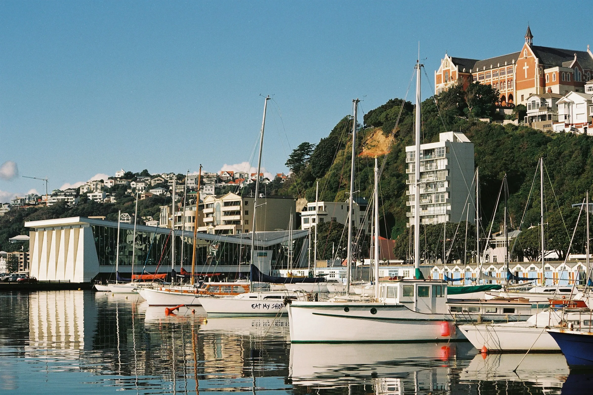Oriental Bay marina and hillside homes in Wellington on a sunny day