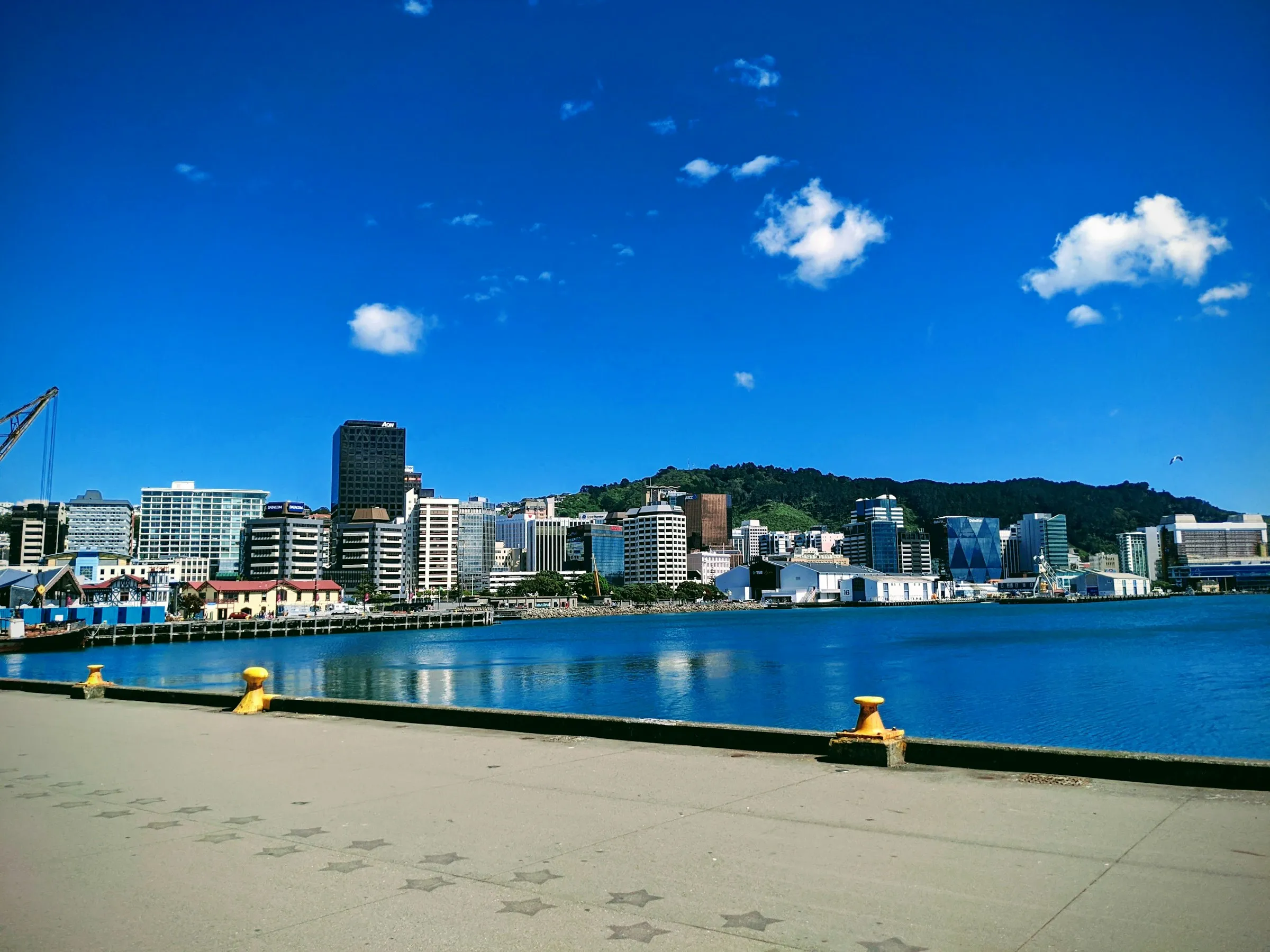 Wellington's waterfront on a bright, sunny day